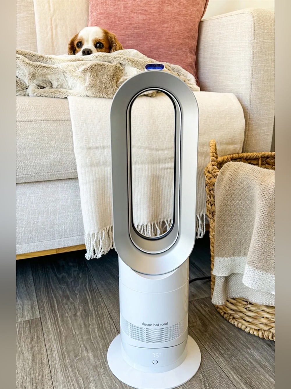Dyson AM09 Hot & Cool Jet Focus Fan Heater- White/Silver 24”
(Sep 026)